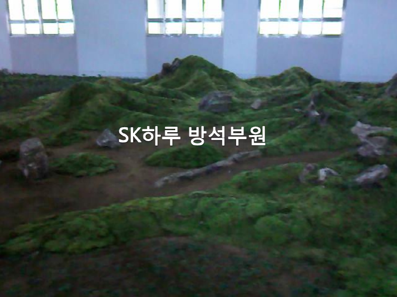 세종시_6.png